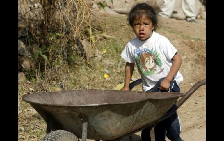 El trabajo infantil en niños menores de 13 años constituye una violación a la ley y a sus derechos humanos. ARCHIVO  /