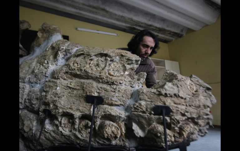 El paleontólogo RodolfoSalas llama a visitar el desierto de rarezas fósiles en Perú. EFE  /