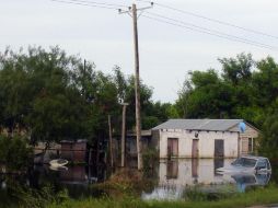 Una camioneta flota en el Ejido Los Cavazos, en Reynosa, ante las crecientes inundaciones por las lluvias. EL UNIVERSAL  /