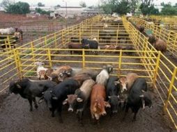 Los dos protagonistas son necesarios para sacar adelante al centro de matanza, señala el títular de la Sagarpa. ARCHIVO  /