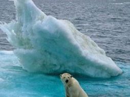 El calentamiento de las profundidades oceánicas se ha registrado cerca de la Antártida y el Atlántico norte. ESPECIAL  /