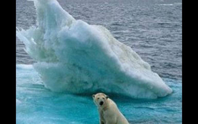 El calentamiento de las profundidades oceánicas se ha registrado cerca de la Antártida y el Atlántico norte. ESPECIAL  /