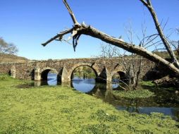 El Puente de Calderón es un ícono de la luicha por la Independencia en Jalisco. S NÚÑEZ  /