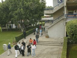 Académica y alumno del CUCEA resultaron ganadores del primer lugar gracias a sus proyectos. ARCHIVO  /