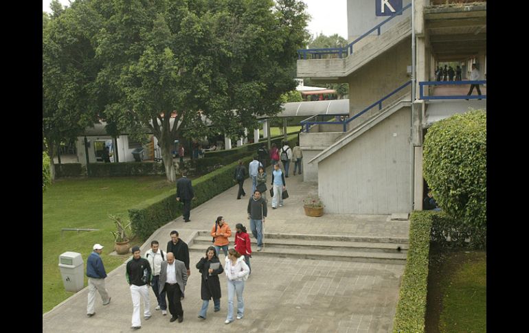 Académica y alumno del CUCEA resultaron ganadores del primer lugar gracias a sus proyectos. ARCHIVO  /