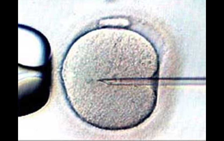 Podrían reducir los costos del tratamiento de fertilidad. ESPECIAL  /