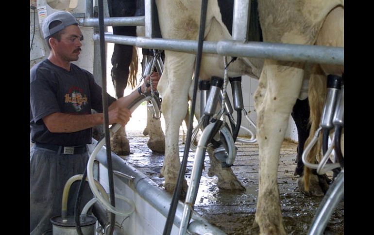 El proyecto de la deshidratadora evitaría el desperdicio de leche fresca que no se alcanza a vender. ARCHIVO  /