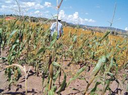 México fue el segundo país, por debajo de Chile, al que más le afectó la crisis financiera del año 2009. EL UNIVERSAL  /