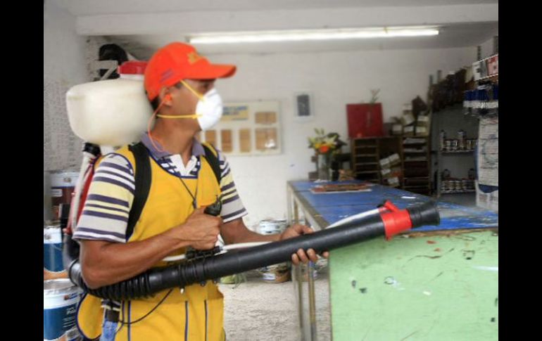 Se realizaría un monitoreo continuo de los vectores que transmiten diversos virus, incluido el dengue. ARCHIVO  /