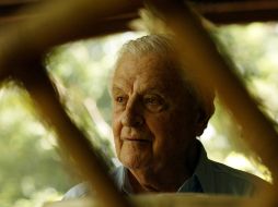 Miguel Aldana Mijares, quien cumplirá en septiembre 90 años de edad, rehabilita su colección de arte. E. BARRERA  /