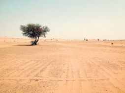 Siempre es buen momento para escuchar la vida a través del silencio del desierto. ESPECIAL  /