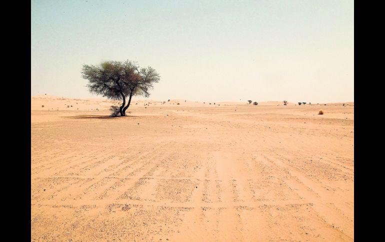 Siempre es buen momento para escuchar la vida a través del silencio del desierto. ESPECIAL  /