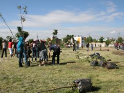 Se plantaron 223 árboles de especies como fresnos, guayabos-fresa, lluvia de oro, jacarandas y tabachines. ESPECIAL  /