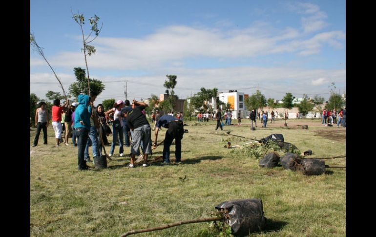 Se plantaron 223 árboles de especies como fresnos, guayabos-fresa, lluvia de oro, jacarandas y tabachines. ESPECIAL  /