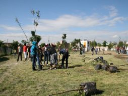 Se plantaron 223 árboles de diferentes especies. ESPECIAL  /