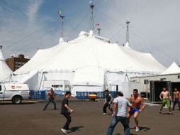 Autoridades del circo declararon que el león es un cachorro sin amaestramiento. ARCHIVO  /