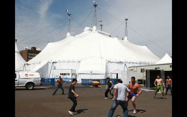 Autoridades del circo declararon que el león es un cachorro sin amaestramiento. ARCHIVO  /