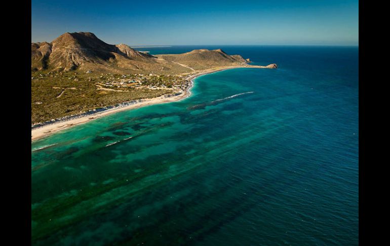 Greenpeace se sumó a la defensa de este arrecife del noroeste del país, Cabo Pulmo, en el Golfo de Baja California. EFE  /