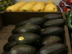 El aguacate estará entre 40y 50 pesos el kilo, bajará hasta el mes de noviembre. ARCHIVO  /