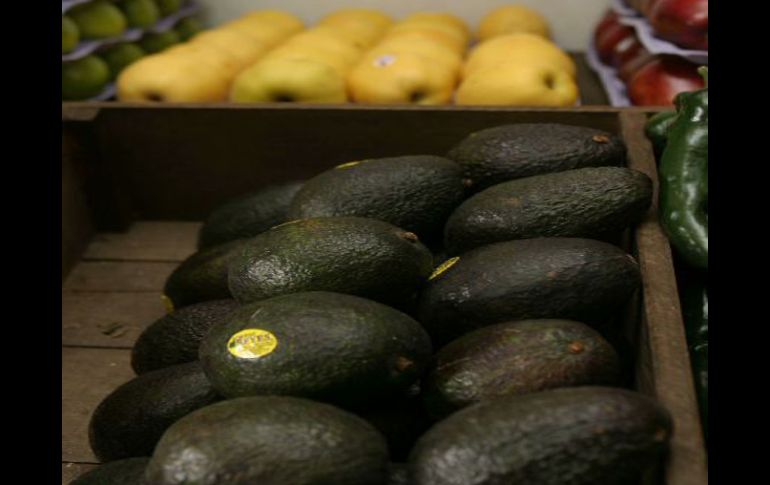 El aguacate estará entre 40y 50 pesos el kilo, bajará hasta el mes de noviembre. ARCHIVO  /