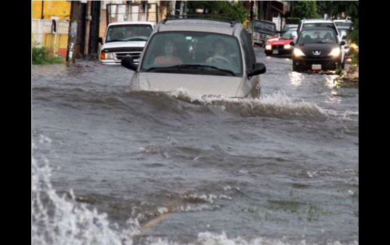 Varios automóviles transitan a través de una calle inundada por las lluvias de la tormenta tropical Danielle. EFE  /