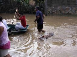 ''Frank'' ya ocasionó la pérdida de vidas humanas en Oaxaca. EFE  /