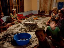 Miembros de una familia en Kokand limpian los capullos de gusanos de seda. AP  /