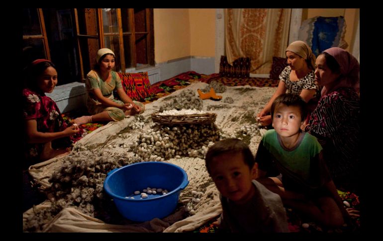 Miembros de una familia en Kokand limpian los capullos de gusanos de seda. AP  /