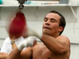 El boxeador mexicano Juan Manuel Márquez durante una sesión de entrenamientos. MEXSPORT  /