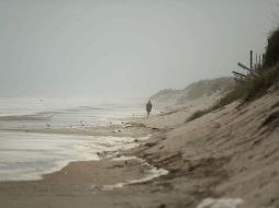 Las Islas Galápagos son ricas en biodiversidad. EFE  /