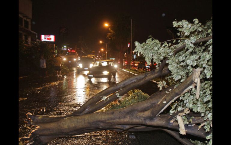 Una de las afectaciones por la lluvia de ayer fue la caída de árboles. S. NÚÑEZ  /