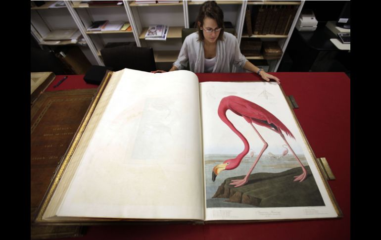 Solo 11 de los 119 libros de la colección están en el mercado, los demás se encuentran bajo resguardo en museos. AP  /