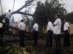 Tras el paso del fenómeno, autoridades continúan trabajando para restablecer servicios en veracruz. AP  /