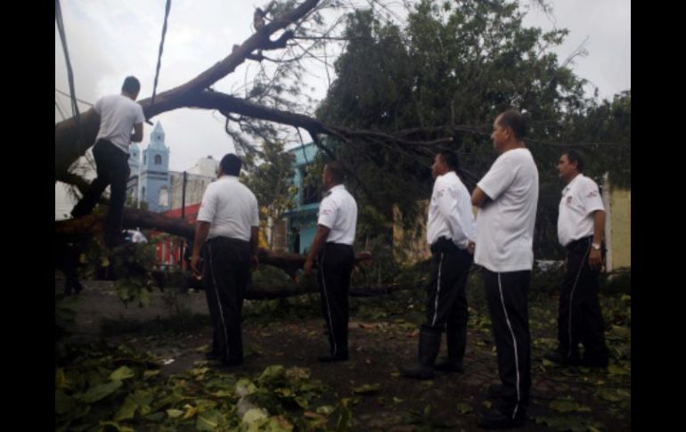 Tras el paso del fenómeno, autoridades continúan trabajando para restablecer servicios en veracruz. AP  /