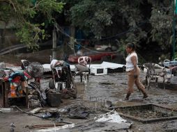 Los municipios de Cotaxtla, Medellín y Carillo Puerto sufrieron grandes afectaciones por el paso del Huracán. AP  /