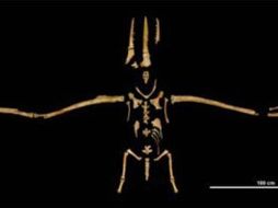 El fósil con alas de 5.2 metros mantiene 70% de sus huesos intactos. EL UNIVERSAL  /