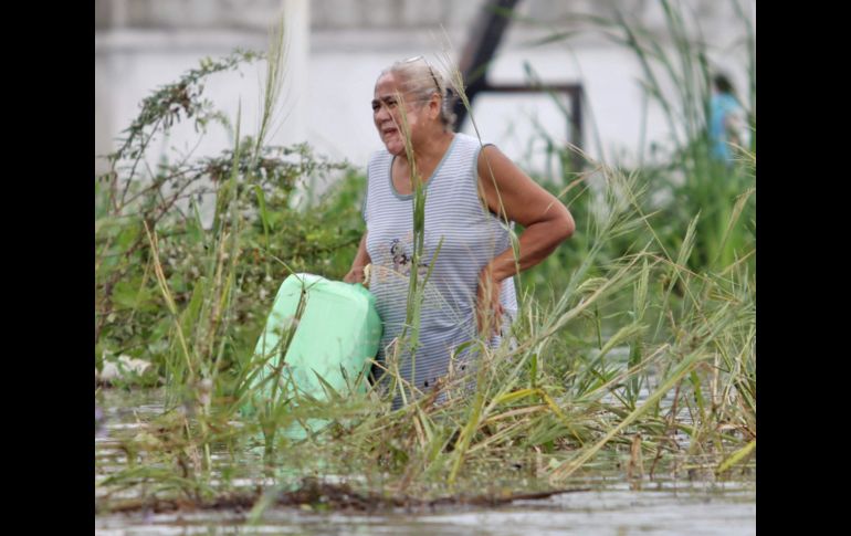 Las inundaciones dejadas por 'Karl' podrían propiciar aumentos en los precios de frutas, leguminosas y legumbres. EFE  /