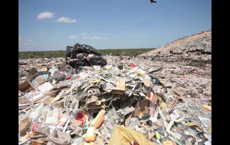 Cancún enfrenta un serio problema con la basura. En dos meses albergará la Cumbre sobre Cambio Climático. EL UNIVERSAL  /