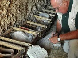 Los arqueologos tratarán de rescatar la riqueza inédita de esta tumba. ESPECIAL  /