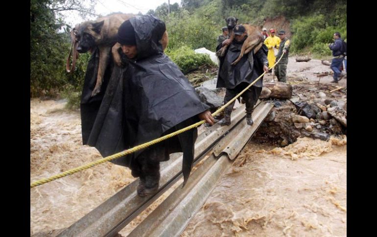 Rescatistas cargan a sus perros al pasar por un puente improvisado. Sigue la búsqueda de cuerpos sepultados por un alud. EFE  /