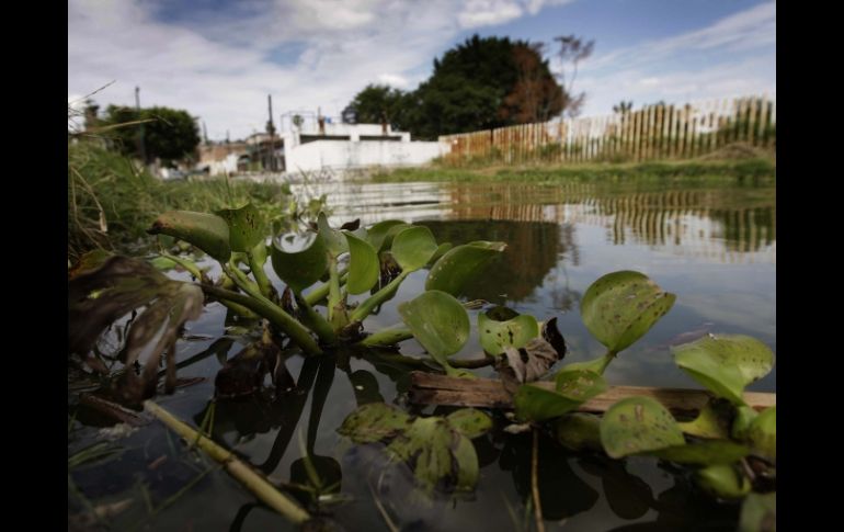 El desbordamiento de la Laguna de Cajititlán pone en riesgo también a comunidades como San Miguel Cuyutlán y Eucaliptos. S. NÚÑEZ  /