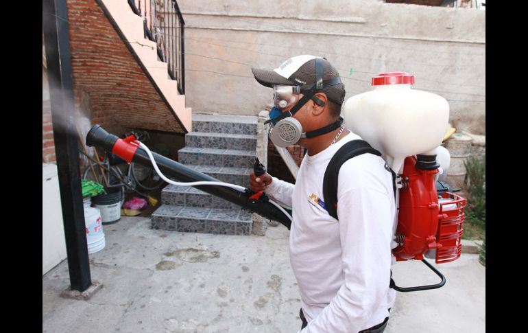 Las labores de fumigación se llevarán a cabo en las colonias por donde pasará la Romería, el próximo 12 de octubre. A. CAMACHO  /