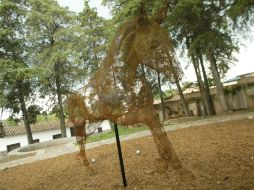 Indómita, de la escultora argentina Nadia Guttman, es la primera pieza que se instaló en el Jardín Escultórico. E. FLORES  /