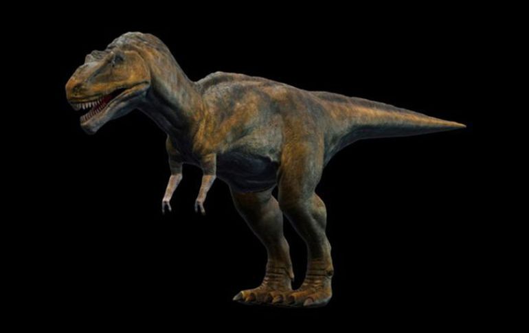 Hace 65 millones de años, el T-Rex era el único gran carnívoro en América del Norte. NATIONAL GEOGRAPHIC  /