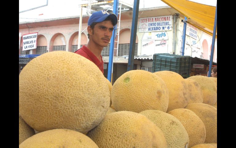 Es la primera vez que se modifica genéticamente un melón. ARCHIVO  /