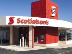 El Banco Scotiabank sufrió una reducción de 8.0% en el tercer trimestre de 2010. ARCHIVO  /