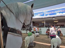 La Expo Ganadera culminó ayer y se entregaron los Premios al Mérito Pecuario. S. NÚÑEZ  /