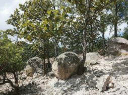 En la imagen, el área natural protegida Piedras Bolas. ARCHIVO  /