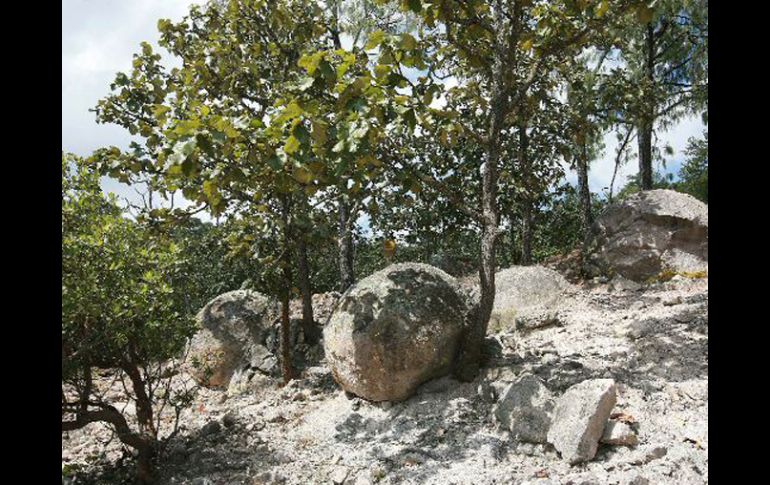 En la imagen, el área natural protegida Piedras Bolas. ARCHIVO  /