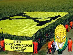 Activistas de Greenpeace se manisfietan en campos de cultivo de alimentos trasgénicos. EFE  /